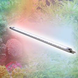 Zeige Produkte für Kategorie Mitras-Simu-Stick Bild für Kategorie Mitras-Simu-Stick