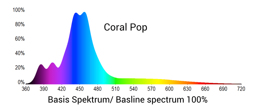 LX7506 Coral Pop